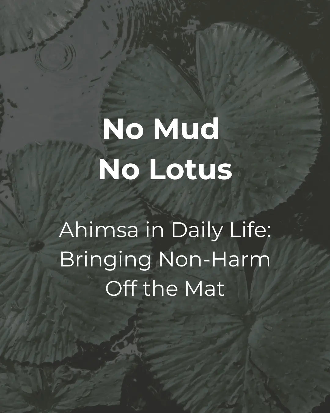 No Mud, No Lotus Ahimsa in Daily Life: Bringing Non-Harm Off the Mat - Sama Yoga House