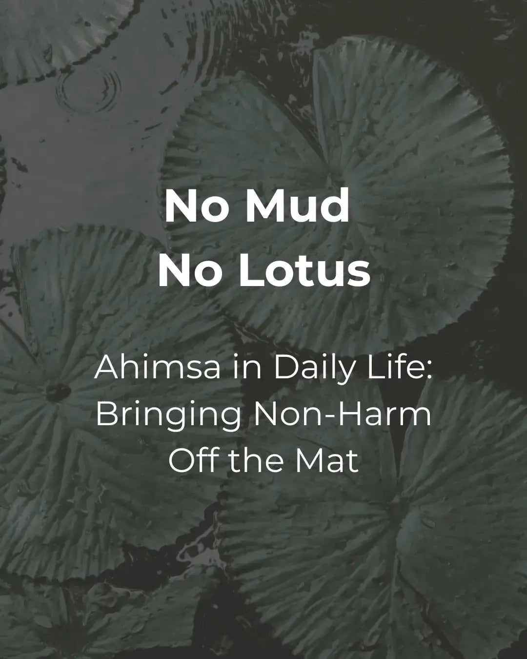 No Mud, No Lotus Ahimsa in Daily Life: Bringing Non-Harm Off the Mat - Sama Yoga House