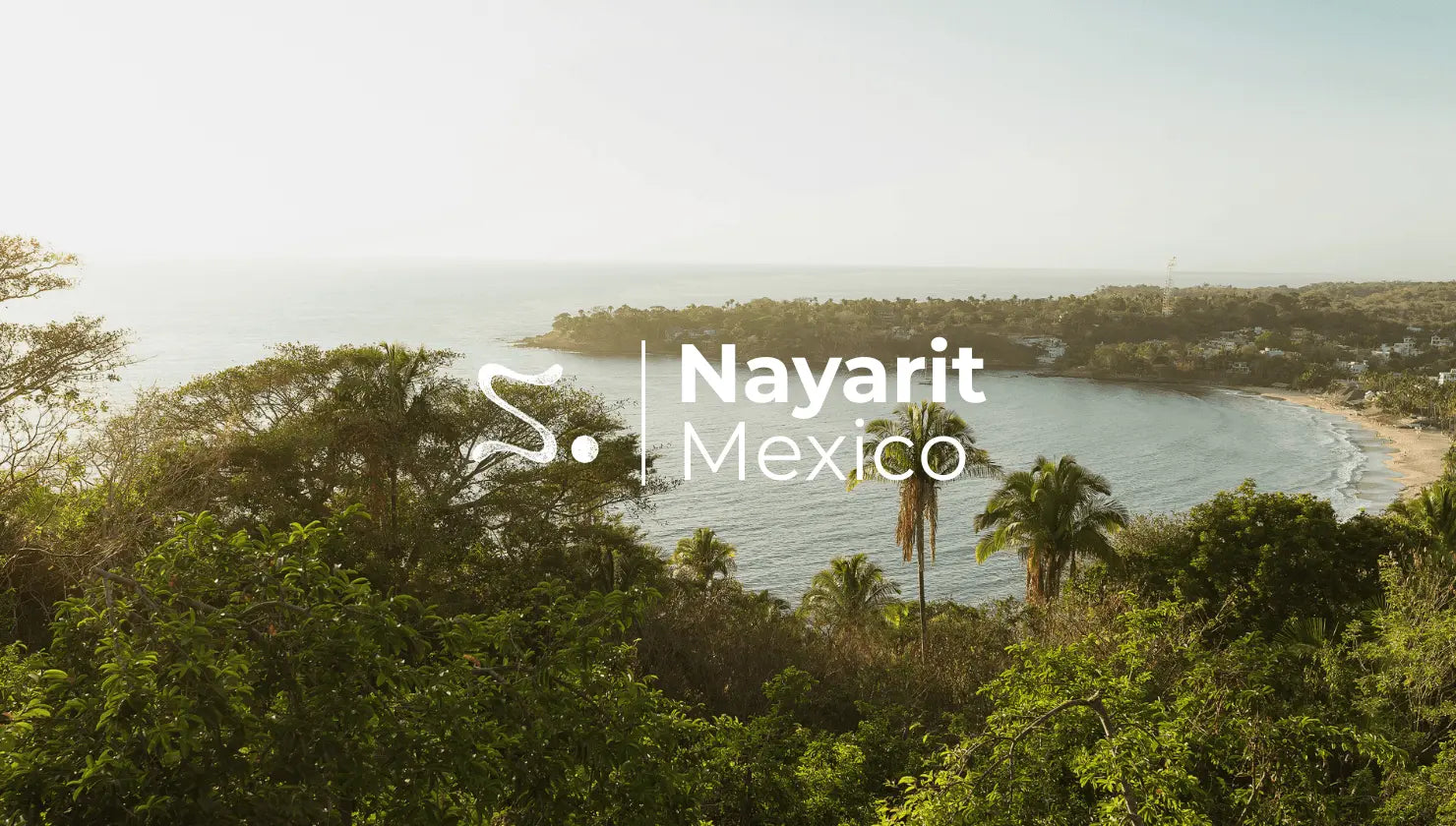 The Power of Stepping Away | New Year's Yoga Retreat in Nayarit - Sama Yoga House