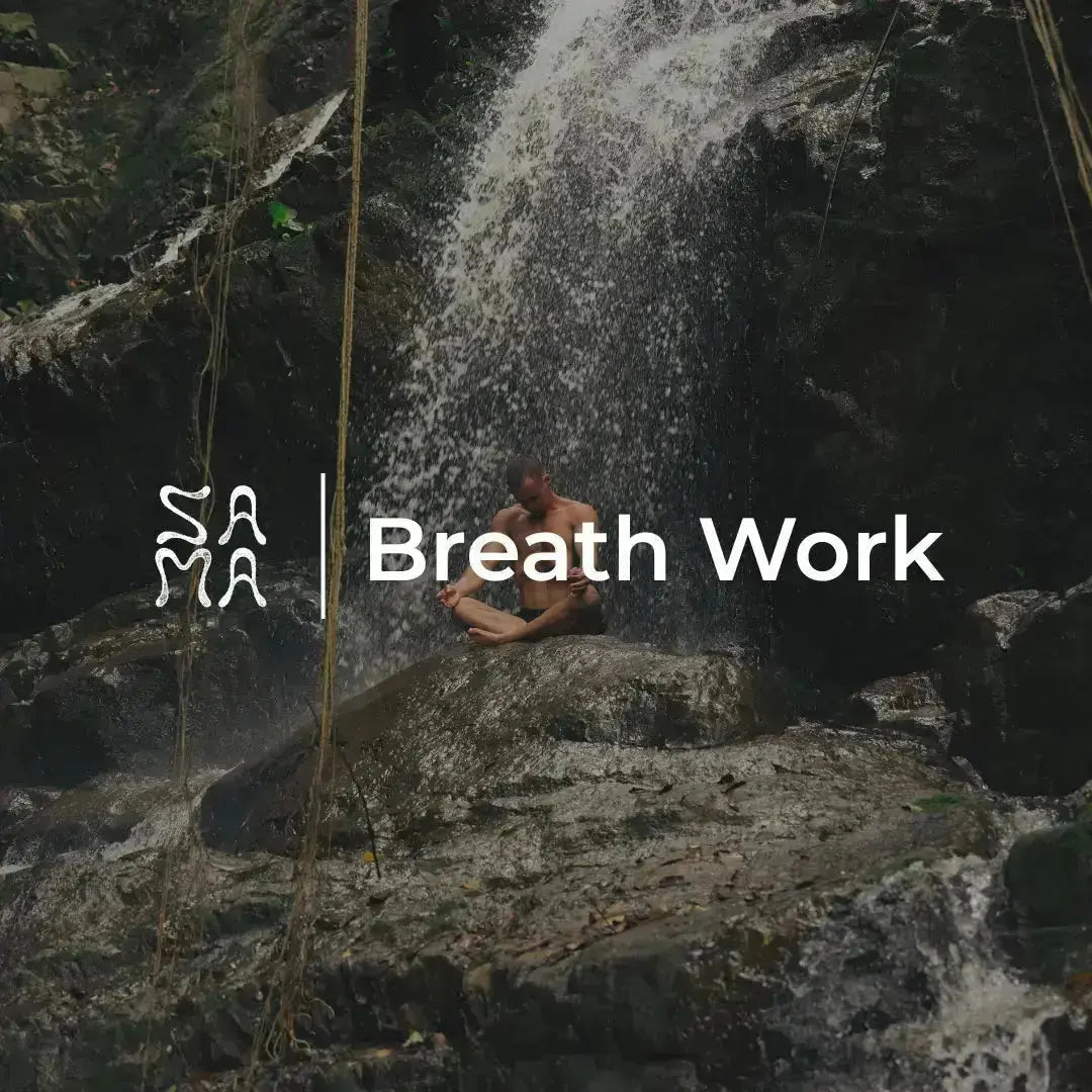 The Science of Breathwork: How Pranayama Regulates the Nervous System - Sama Yoga House