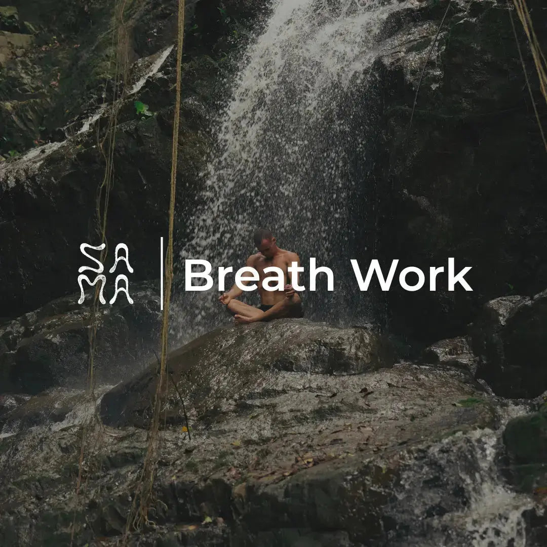 The Science of Breathwork: How Pranayama Regulates the Nervous System - Sama Yoga House