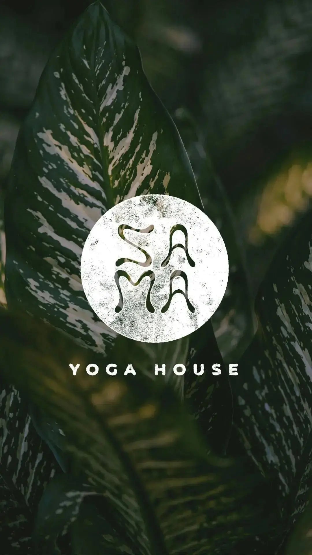 What Is Sama Yoga?  Understanding Balance as a Way of Life - Sama Yoga House