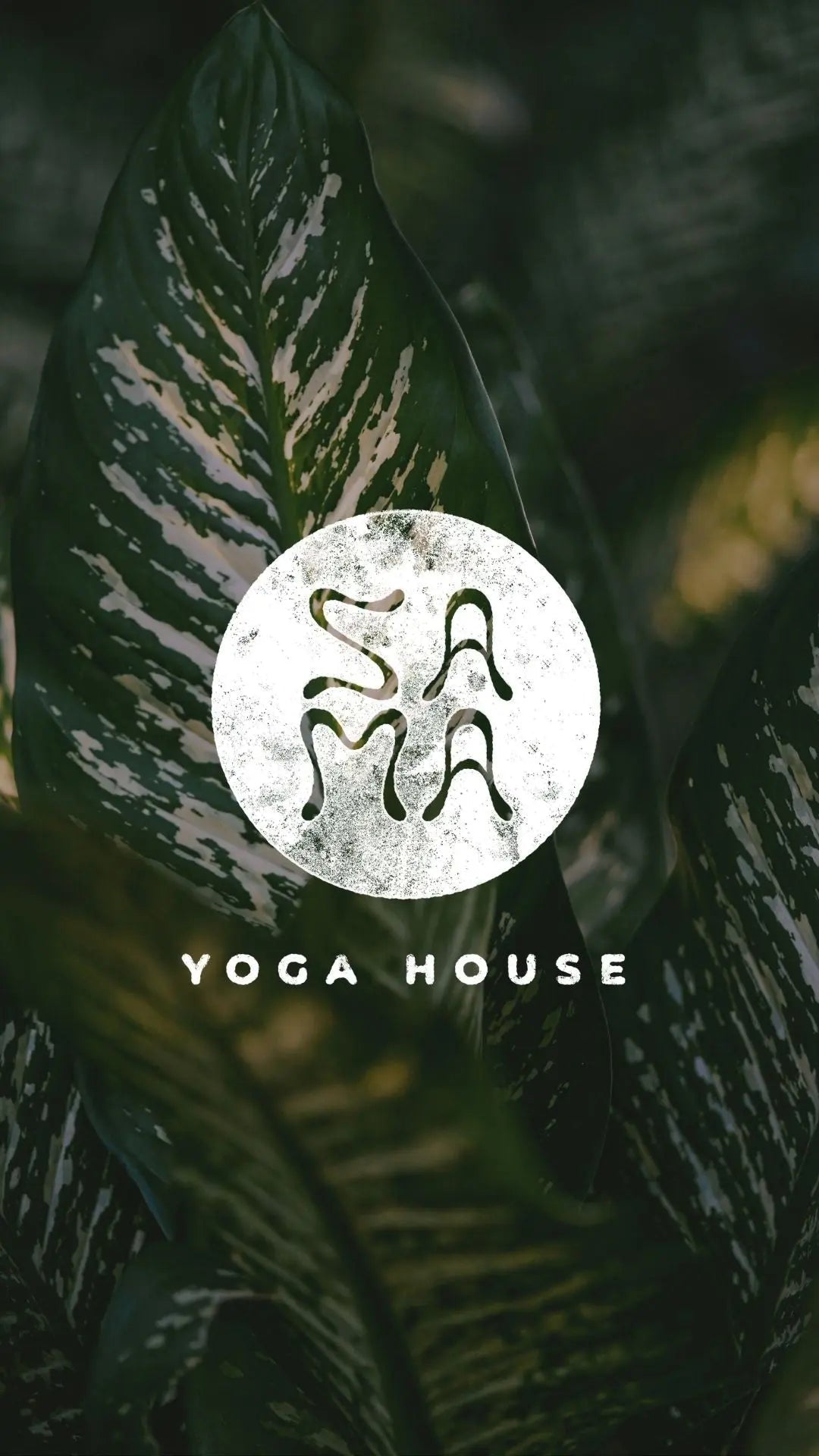 What Is Sama Yoga?  Understanding Balance as a Way of Life - Sama Yoga House