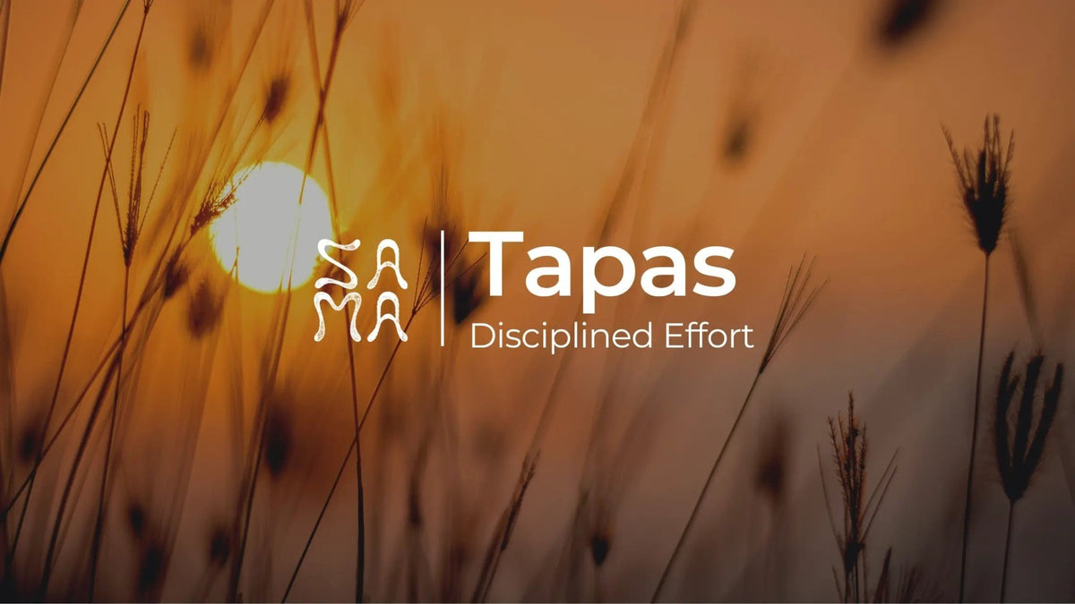 What Is Tapas in Yoga? Meaning of the Third Niyama │ Sama Yoga House - Sama Yoga House