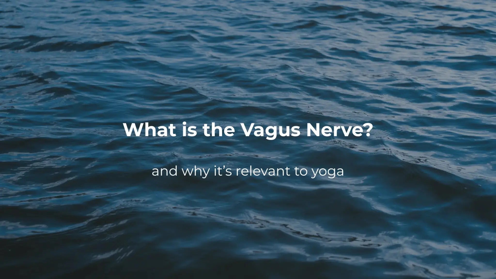 What Is the Vagus Nerve? And Why Does Every Yoga Teacher Talk About It? - Sama Yoga House
