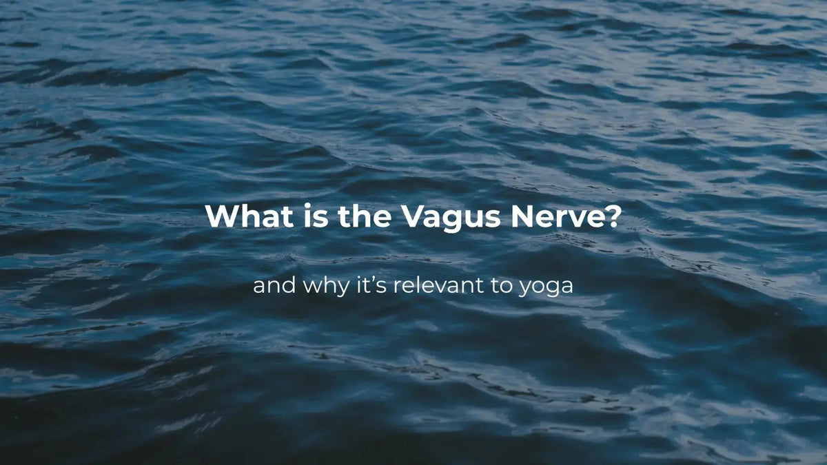 What Is the Vagus Nerve? And Why Does Every Yoga Teacher Talk About It? - Sama Yoga House