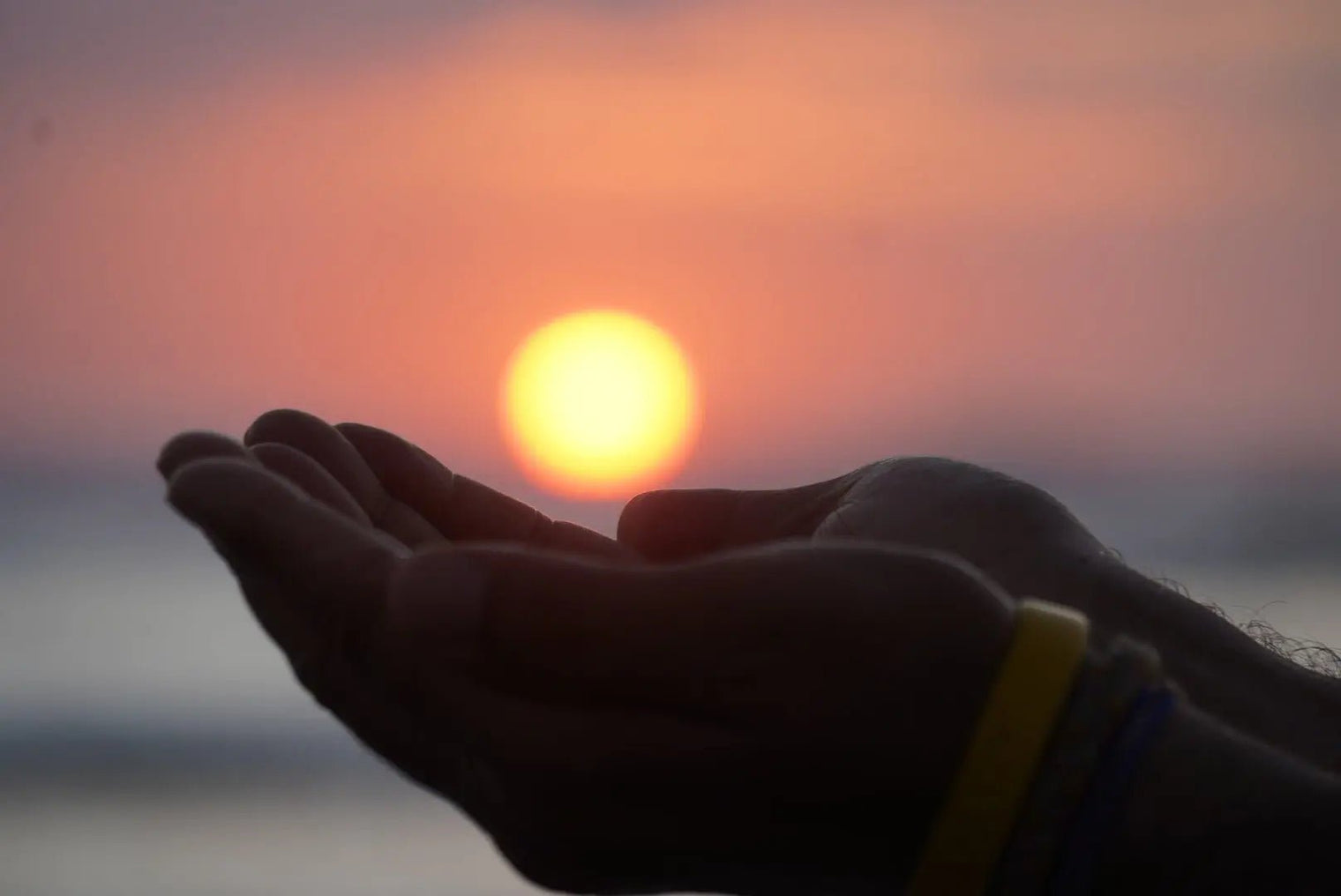 Why Take a Yoga Training? 10 Reasons That Go Beyond the Mat - Sama Yoga House