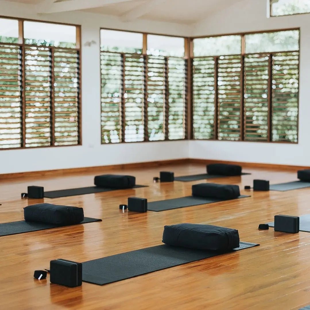 Yin Yoga Training - Sama Yoga House